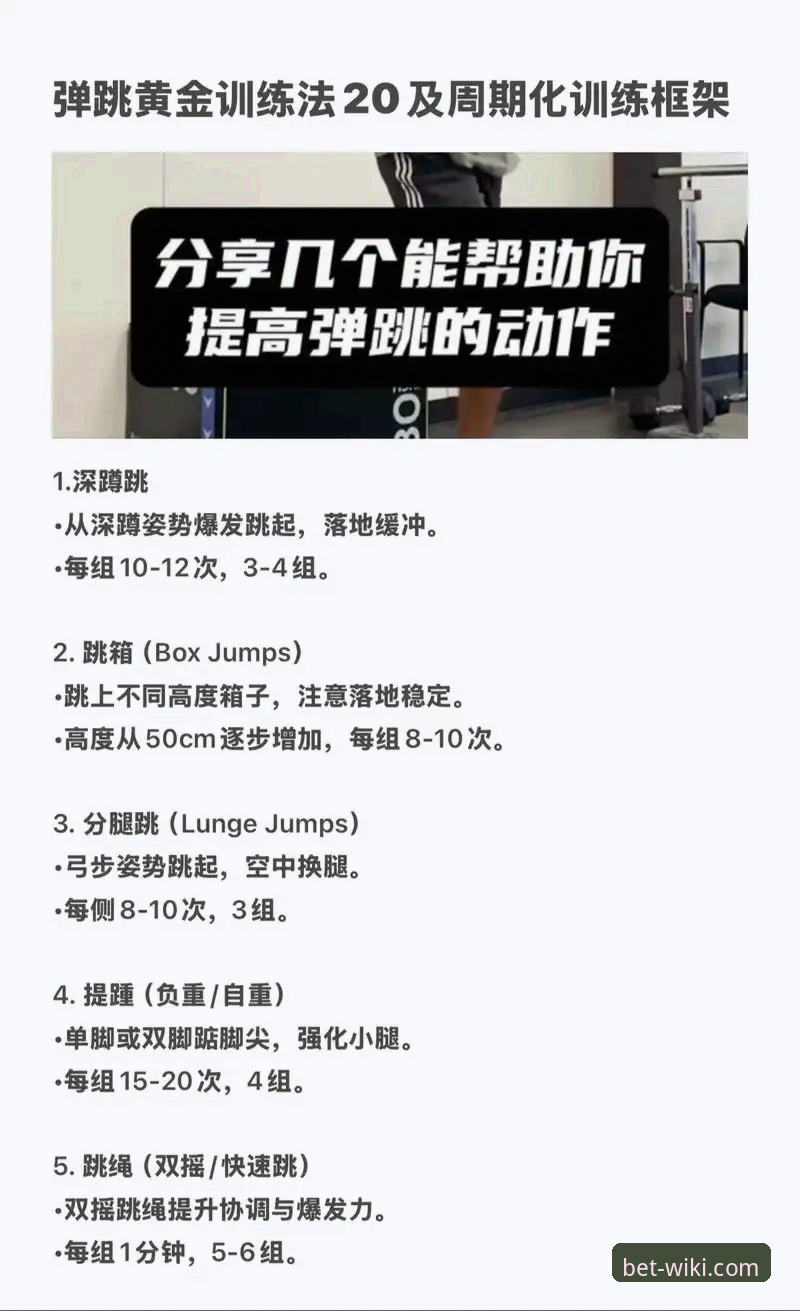 资深玩家解析：如何精准参与维基体育最新活动并提升体验